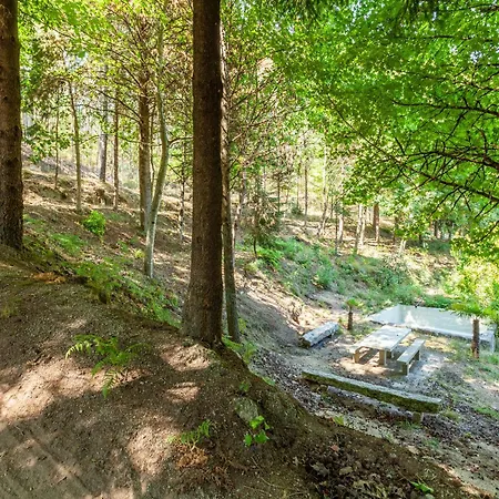 Villas Prendal Eco Living - Minho'S Guest Guimaraes Exterior photo