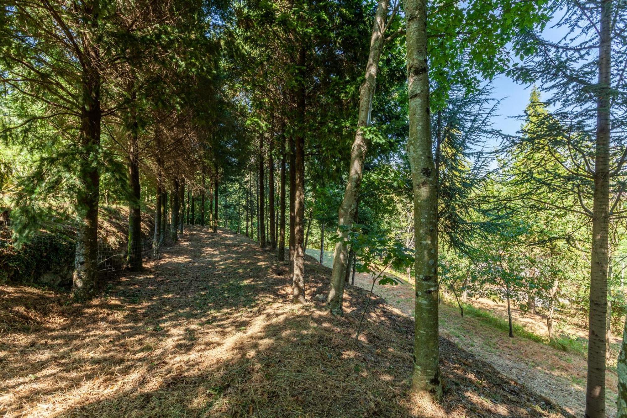 Prendal Eco Living - Minho's Guest Guimaraes