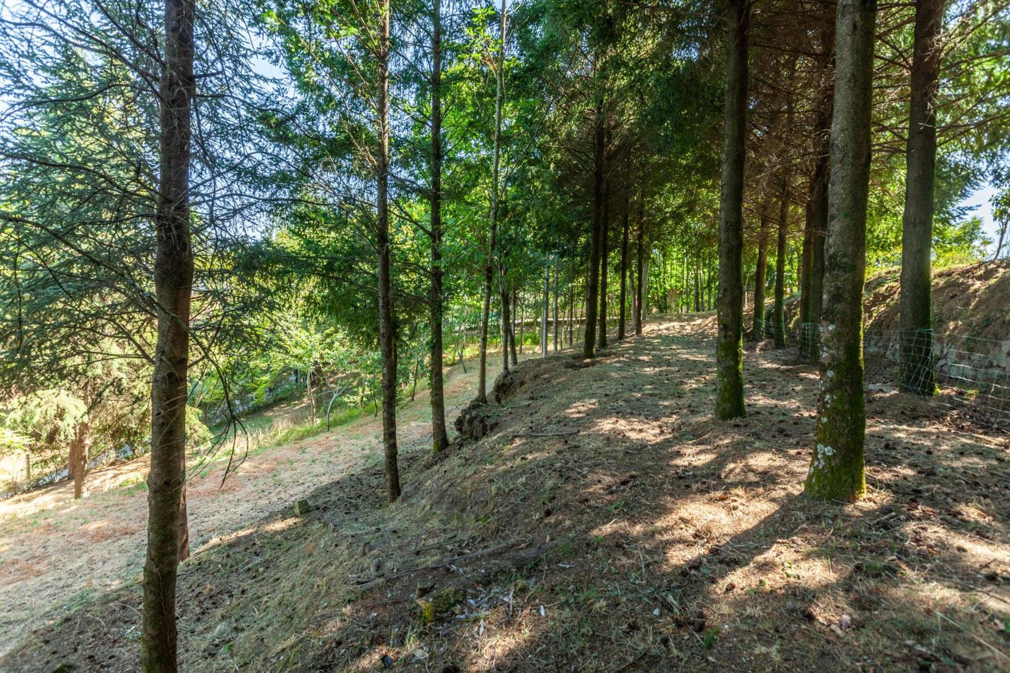 Holiday home Prendal Eco Living - Minho's Guest Guimaraes