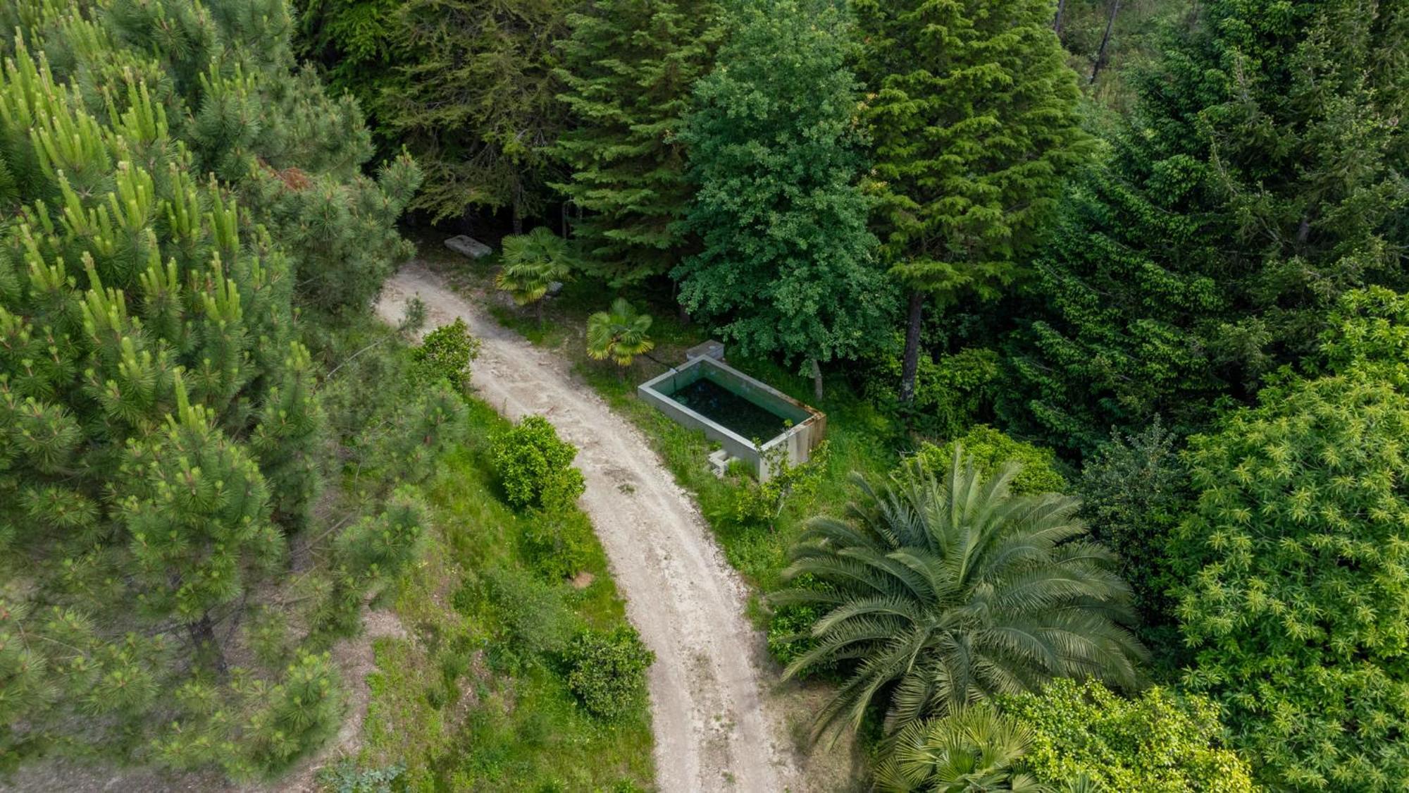 Prendal Eco Living - Minho's Guest Holiday home Guimaraes