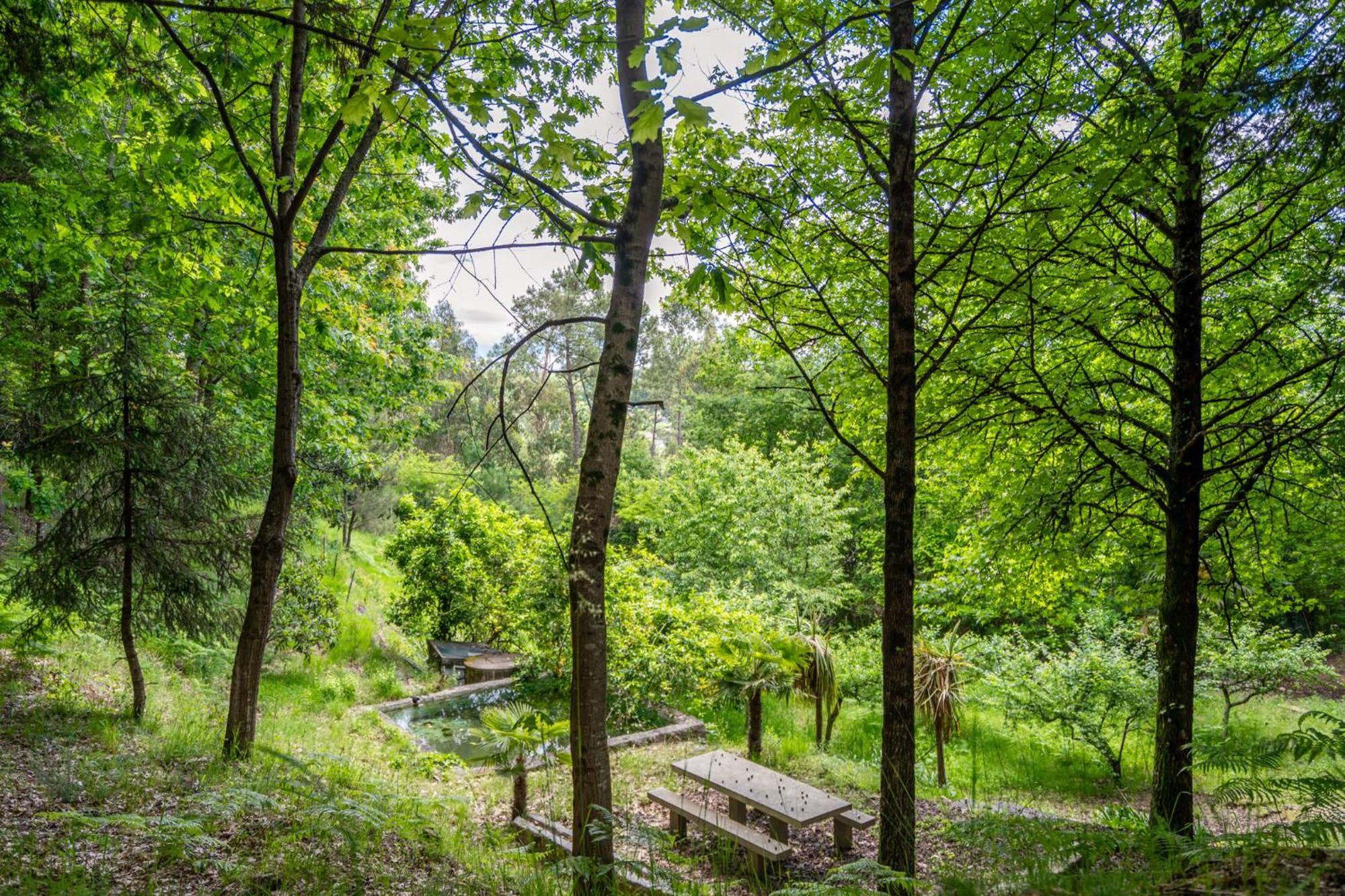 Prendal Eco Living - Minho's Guest Holiday home Guimaraes